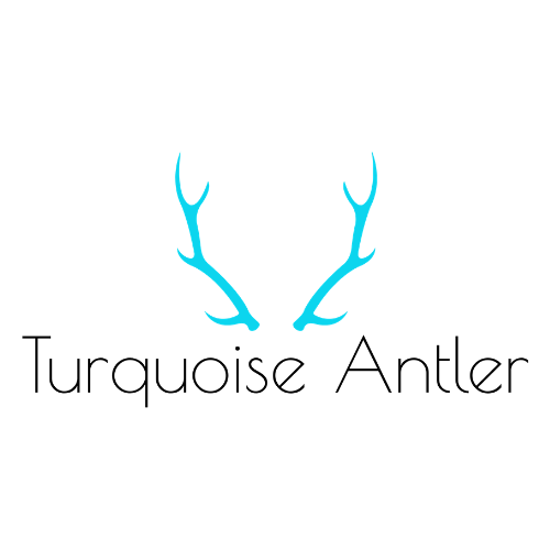 hostfully testimonials case studies happy customers